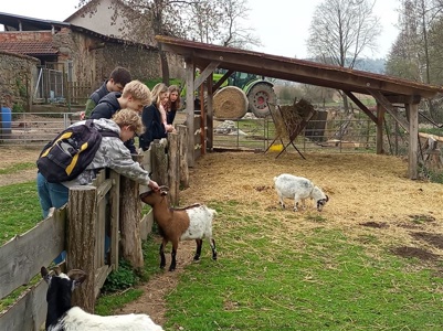 IMG_20260415_111548_491