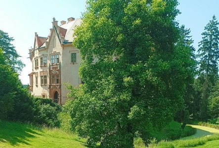 voz5