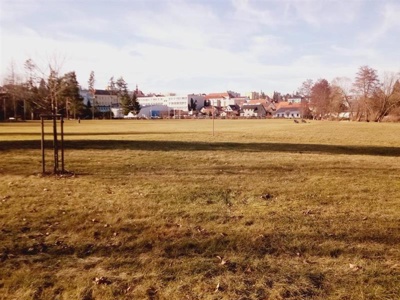 Finding beauty in our Sedlčany spring 