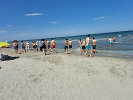 ita7.jpg_450_300