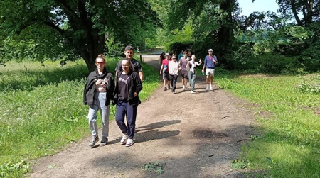 orlik7