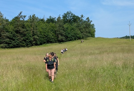 Botanická exkurze Drbákov